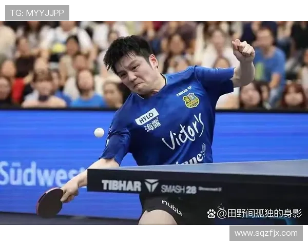 樊振东重返德甲赛场掀热潮 球迷抢票热情高涨票价飙升创纪录 樊振东重返德甲赛场掀热潮 球迷抢票热情高涨票价飙升创纪录