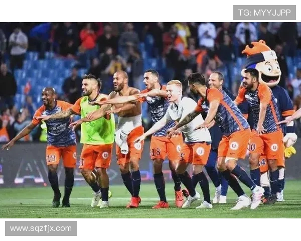 深入解析法国足球甲级联赛的历史传承与现代竞技格局的演变 深入解析法国足球甲级联赛的历史传承与现代竞技格局的演变